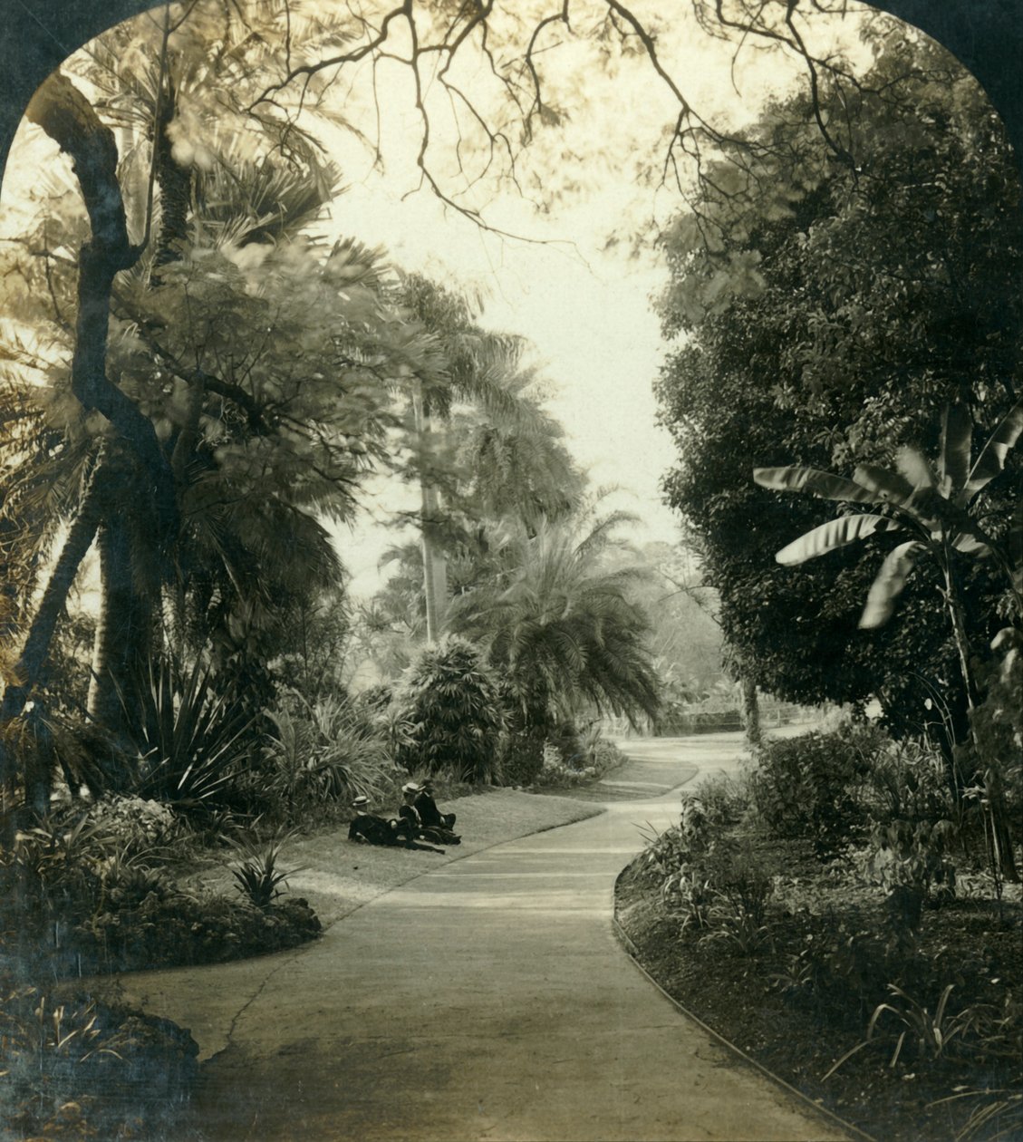 Pathway in the Queens Park, Brisbane, Australia, vuodelta 1909. tekijältä George Rose