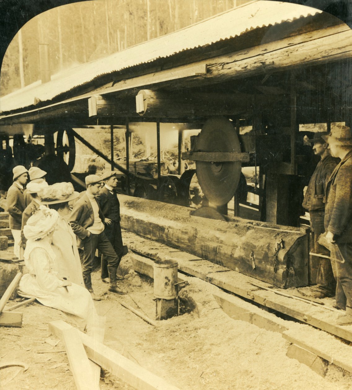 Timber Industry, Warburton, Victoria, Australia, 1909. tekijältä George Rose