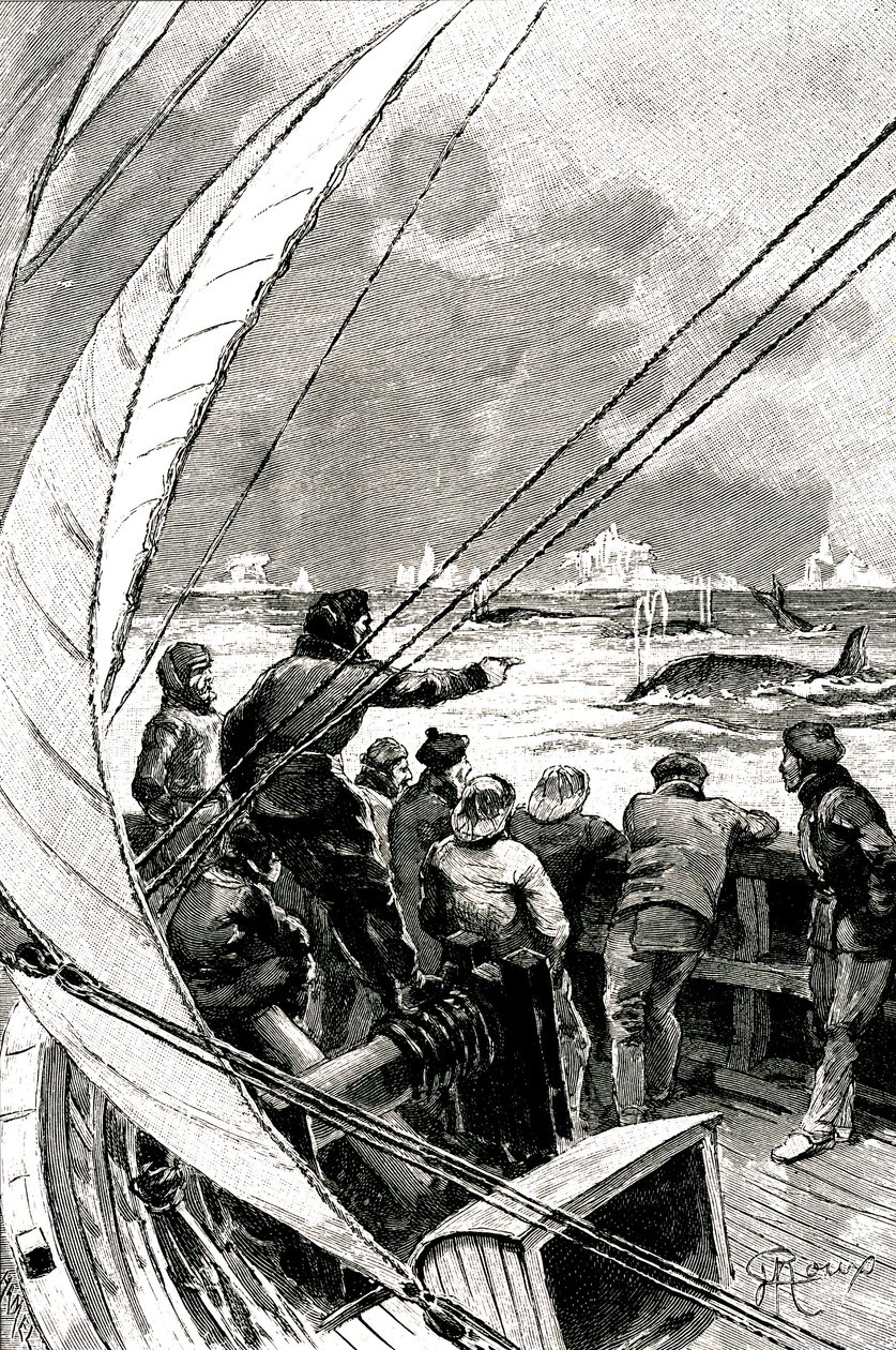 Merellä napaa kohti: laivan (purjeveneen) miehistö näkee ryhmän valaita. Kuvitus Jules Vernen (1828-1905) romaanista "" Jääsfinksi "" tekijältä George Roux