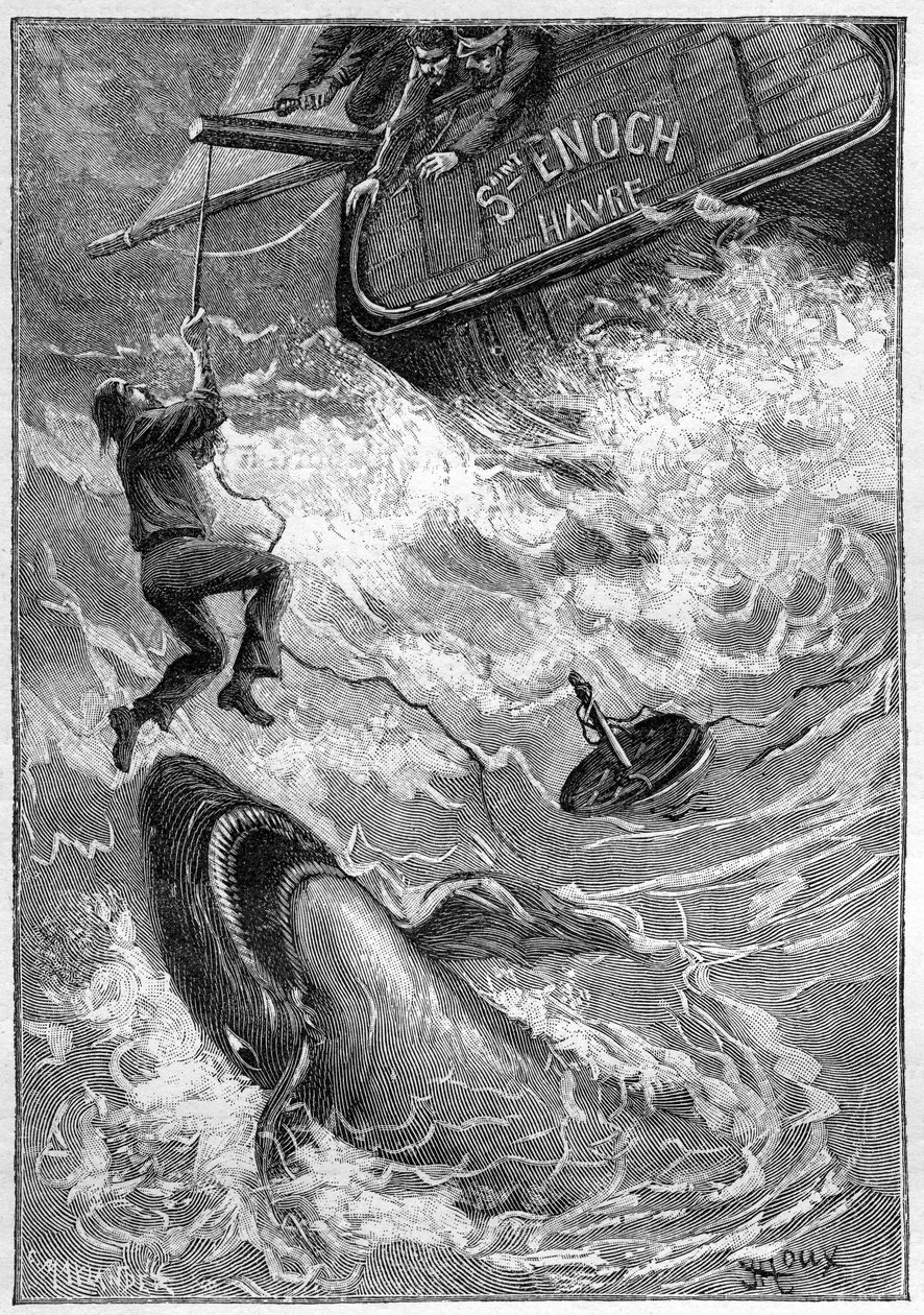 Jules Vernen romaani "Les histoires de Jean-Marie Cabidoulin" (1901), Hetzel Collection/Extraordiaires, kuvitus George Roux. "Merikohtaus: merimies joutuu hain hyökkäyksen kohteeksi Tyynellämerellä" tekijältä George Roux