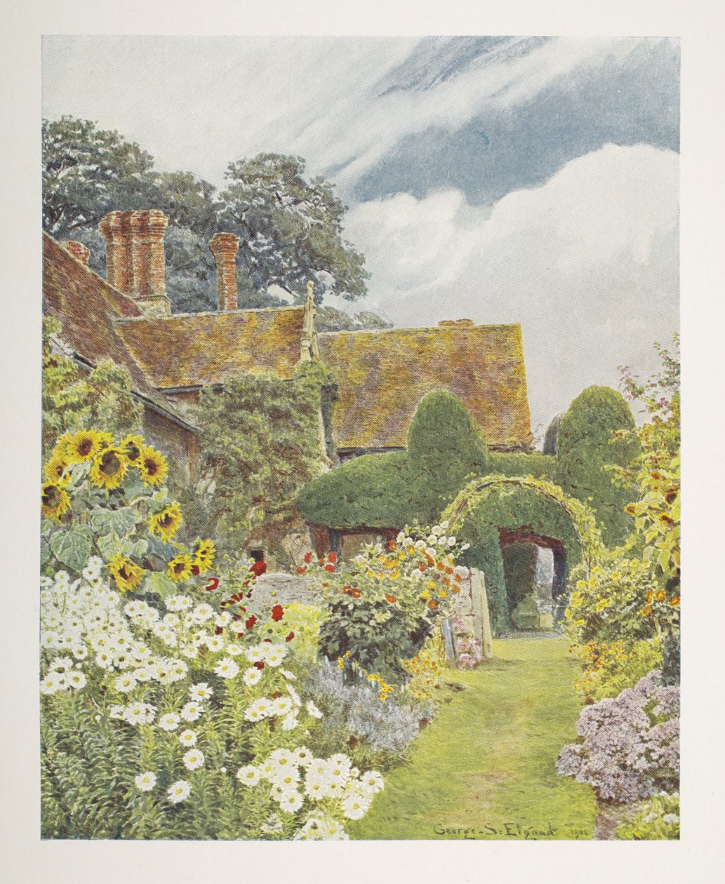 Cleeve Prior, Sunflowers, kuvitus teoksessa "Some English Gardens", George S. Jekzel Elgood & Gertrude Jekyll tekijältä George Samuel Elgood