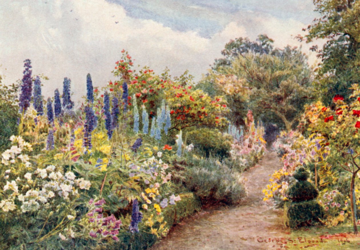 Larkspurs (värilitografia) tekijältä George Samuel Elgood