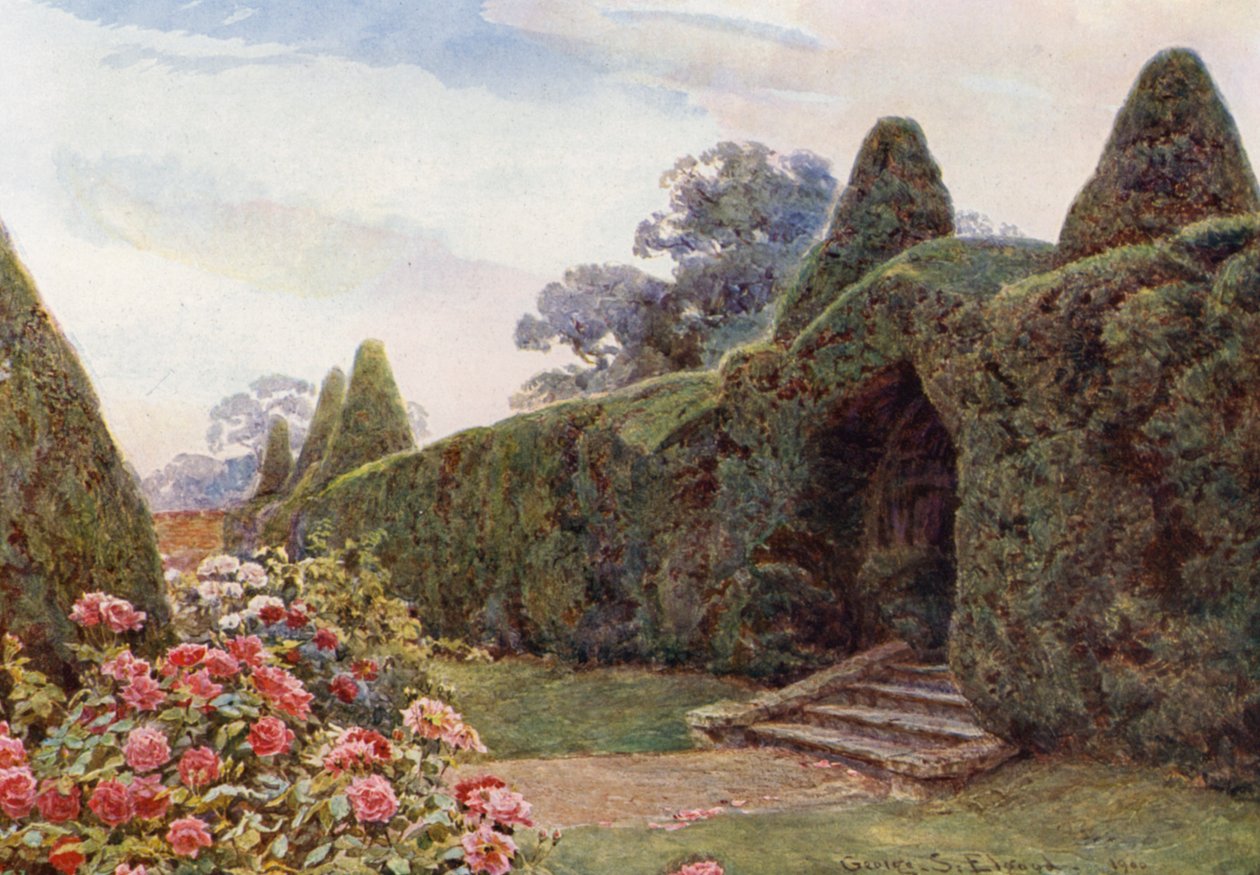 Pihlaja kaari Brickwallissa, Sussex (värilitro). tekijältä George Samuel Elgood