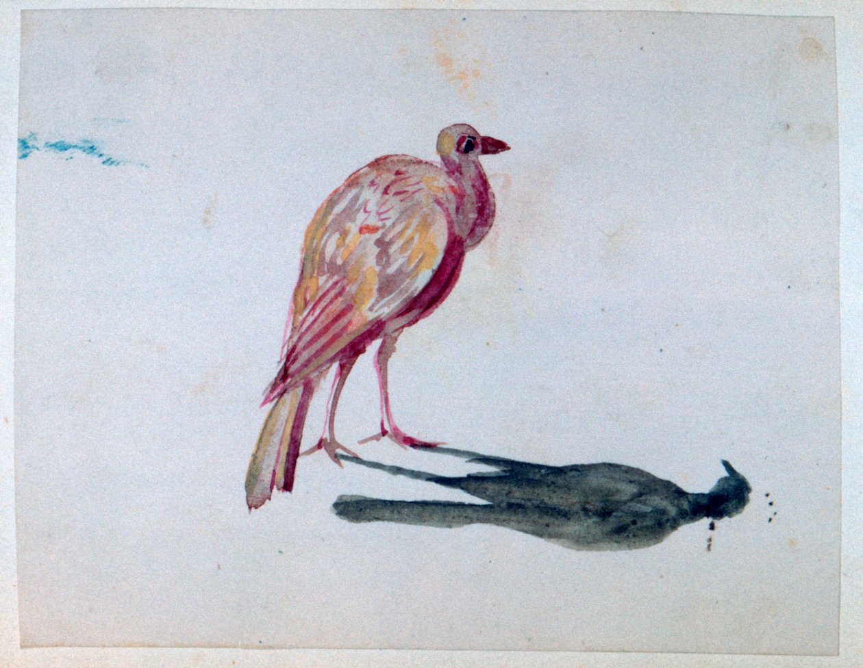 Lintu, 1820-1876 tekijältä George Sand