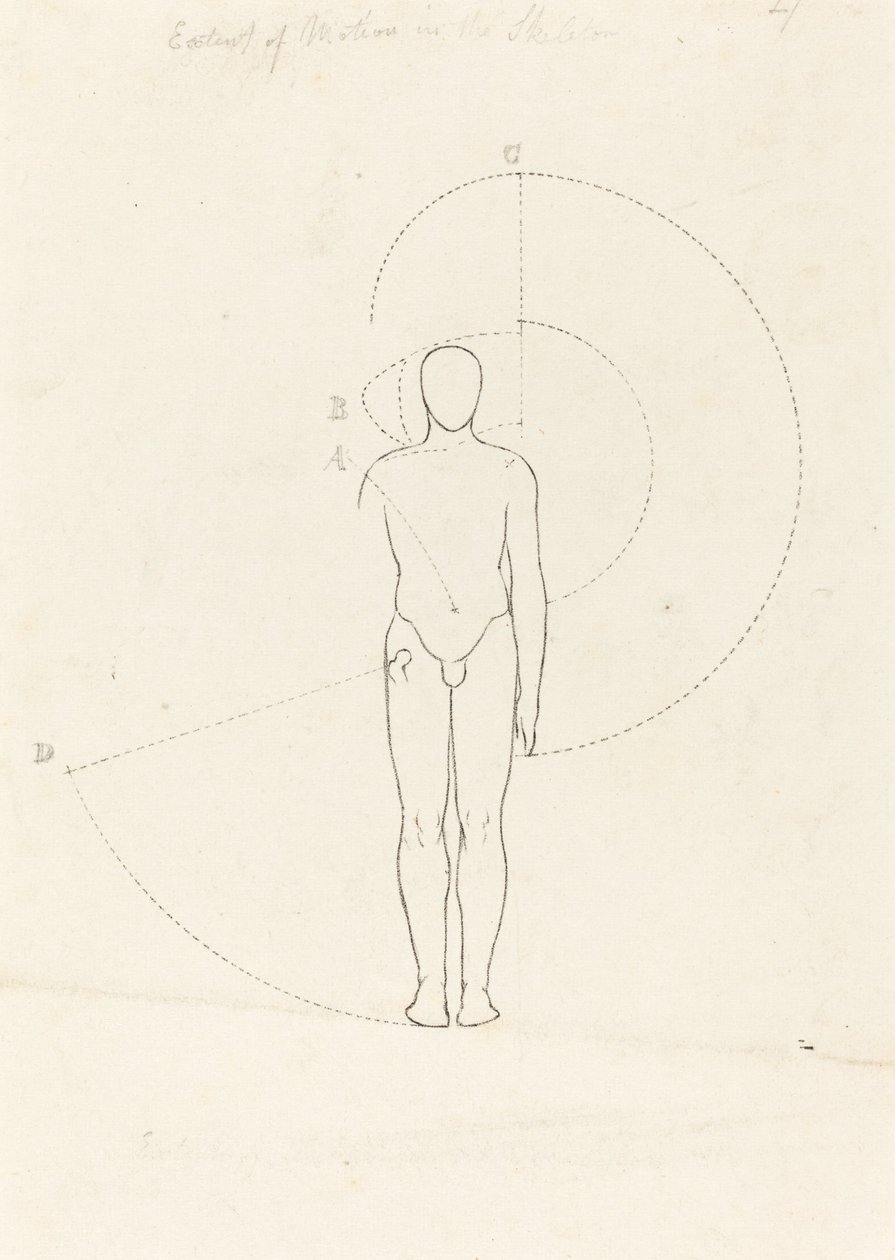 Liikkeen laajuus, yksi hahmo tekijältä George Scharf after John Flaxman