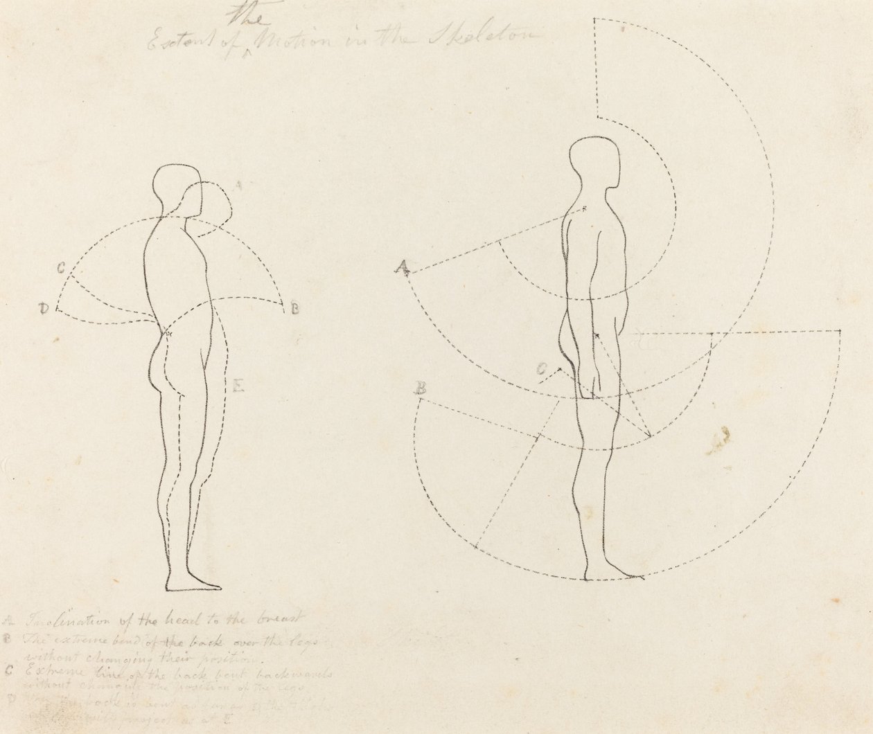 Liikkeen laajuus näkyy kahdessa kuvassa tekijältä George Scharf after John Flaxman