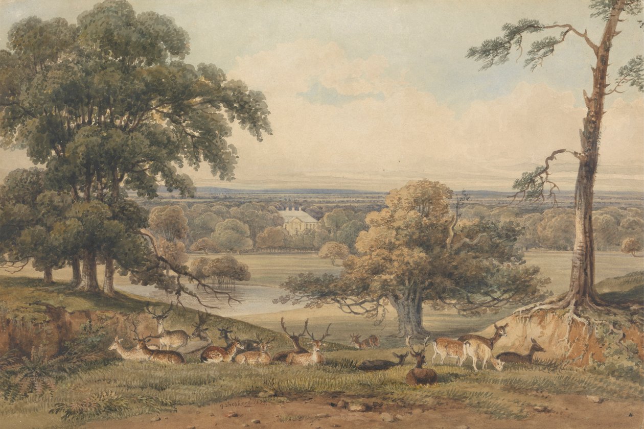O vedere îndepărtată a Ampthill Parkfinnish tekijältä George Shepherd