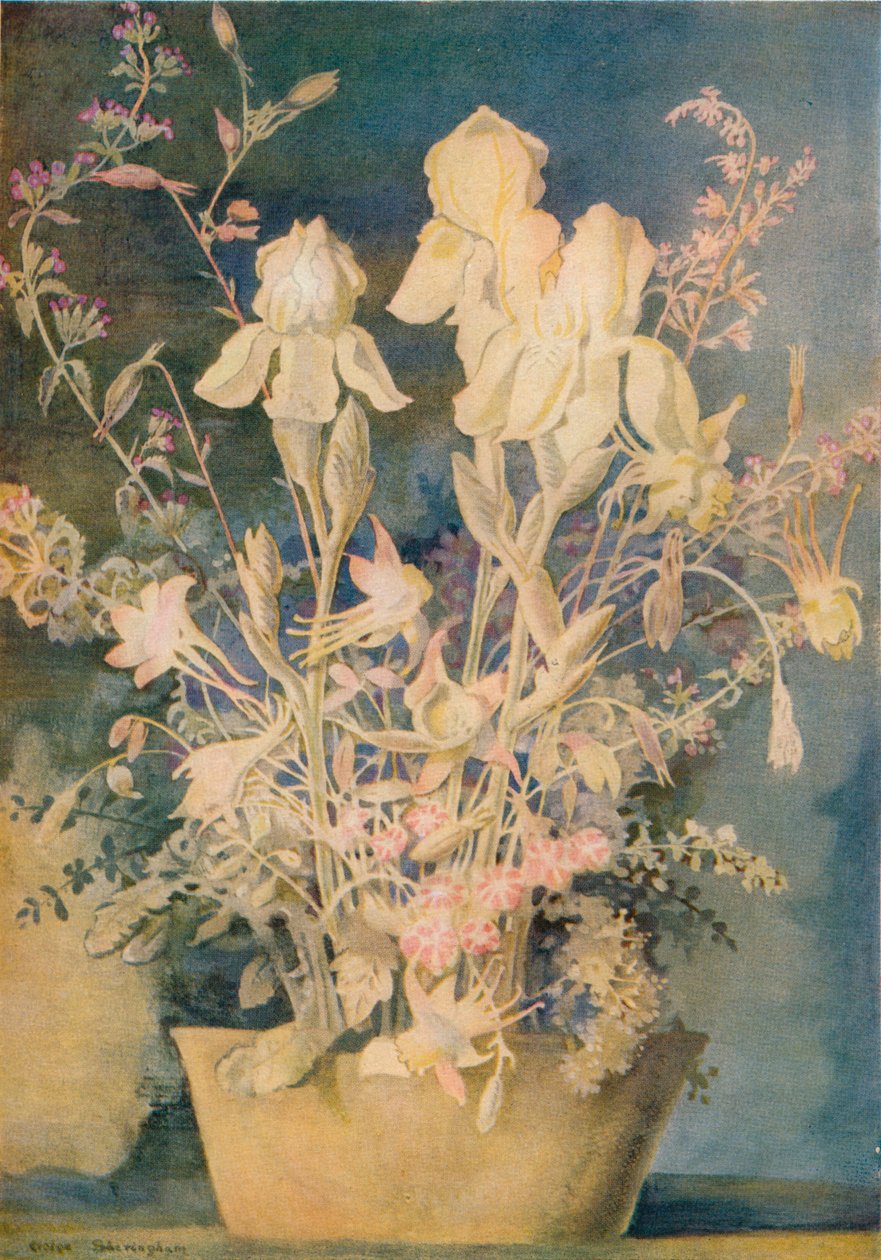 George Sheringhamin kukkamaalaus, 1910-1920, 1936. tekijältä George Sheringham