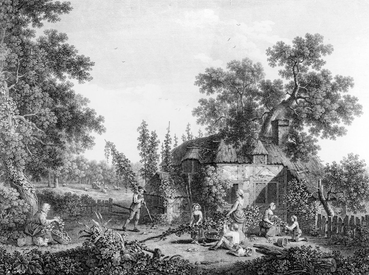 Humalapoimijat, kaivertanut Francis Vivares, 1760 tekijältä George Smith