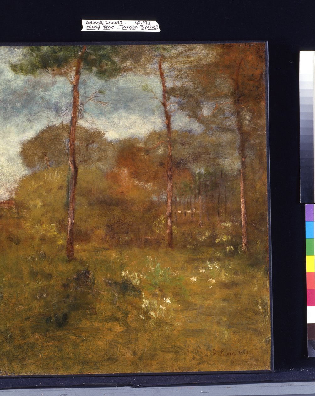 Orange Road, Tarpon Springs (öljy kankaalle) tekijältä George Snr. Inness