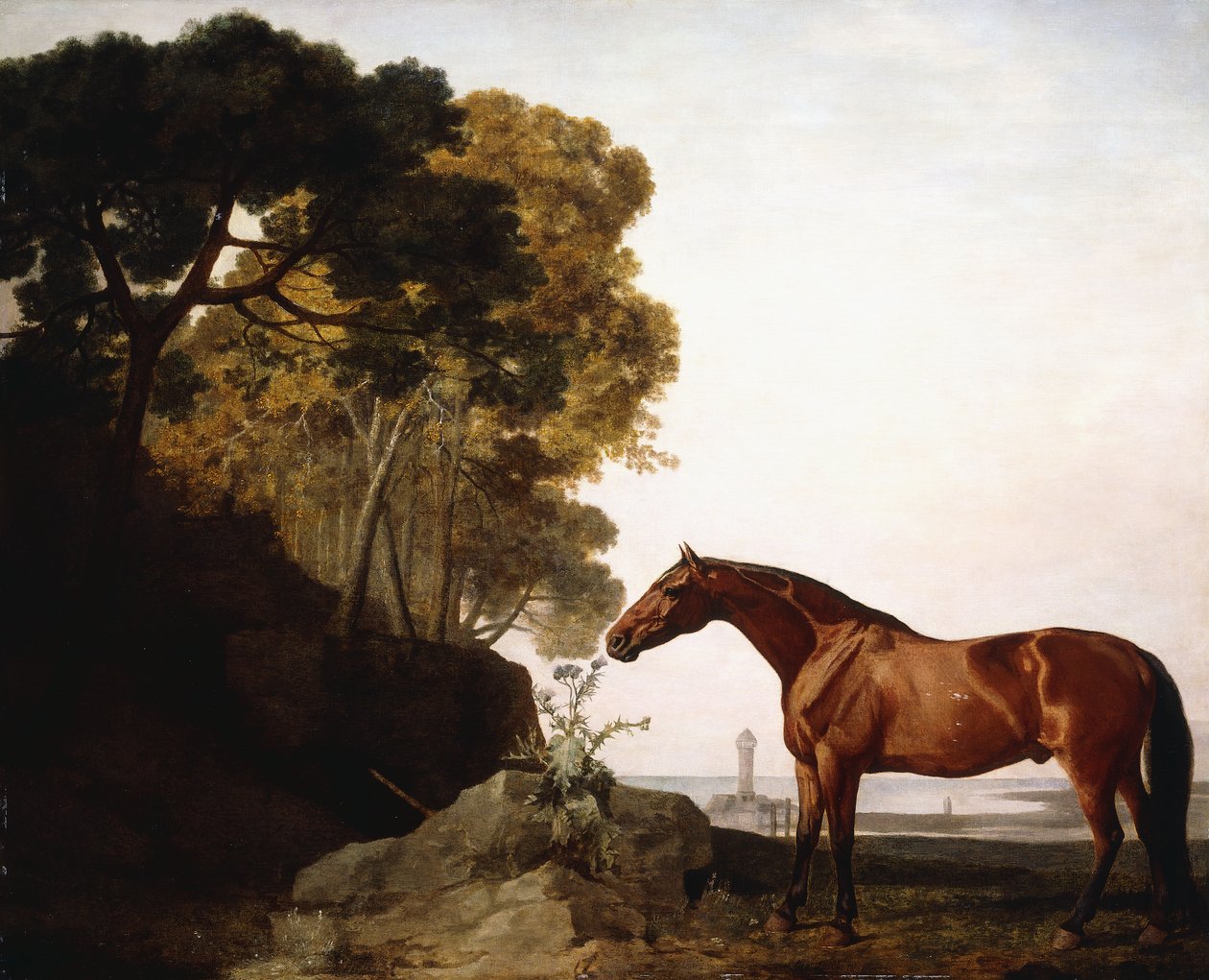 Bay Arab rannikkomaisemassa, 1779 tekijältä George Stubbs