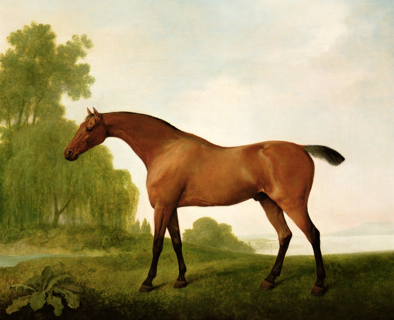 Un pura sang badia en un paisatge finlandès tekijältä George Stubbs