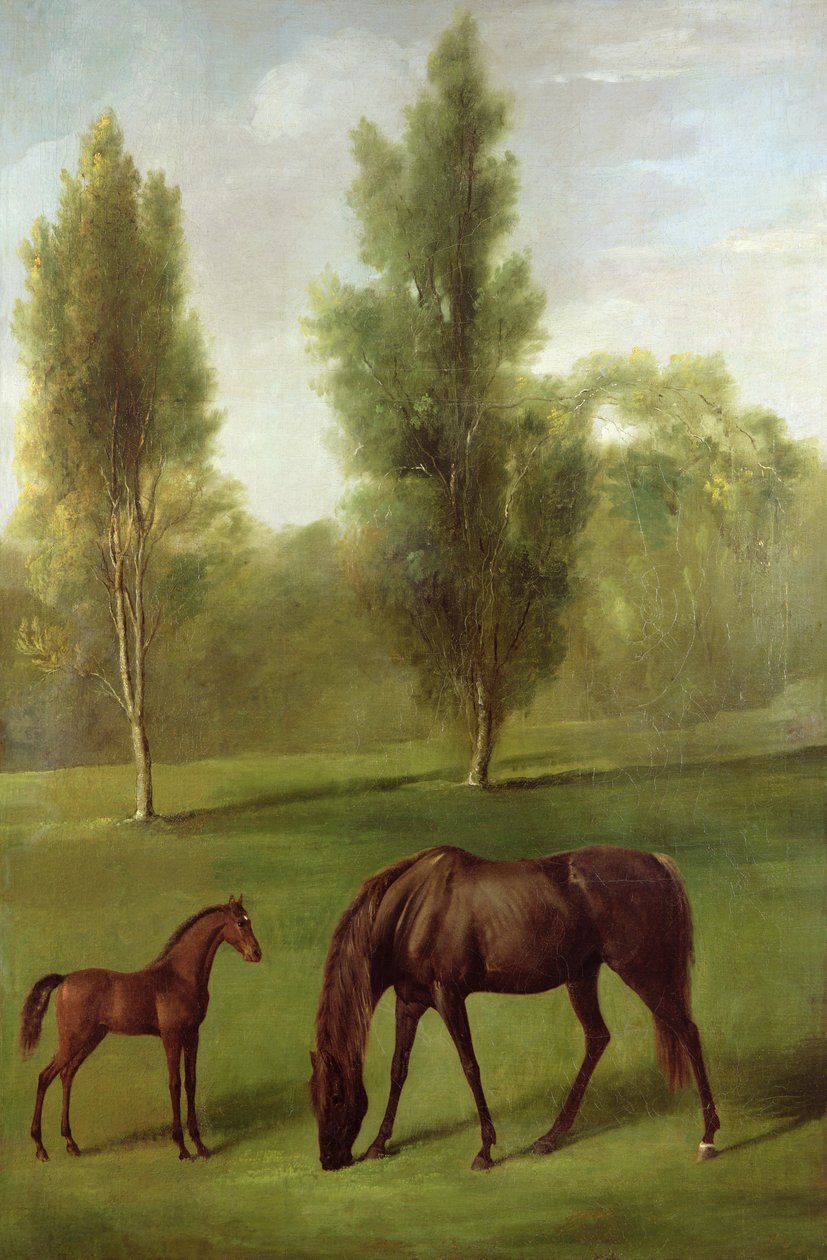 Kastanjatamma ja varsa metsämaisemassa, n. 1761-63 (öljy kankaalle) tekijältä George Stubbs