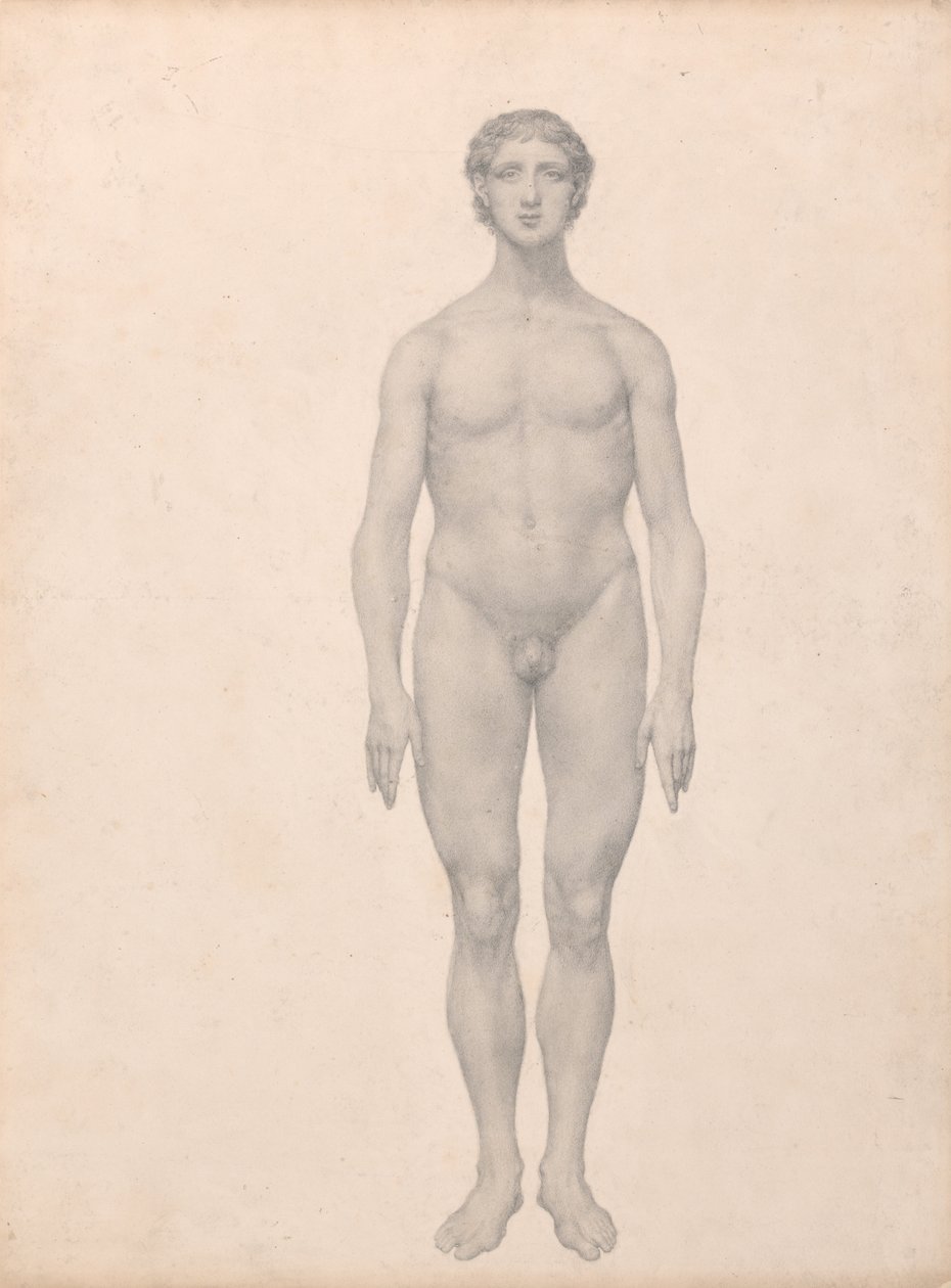 Vertaileva anatominen selvitys ihmiskehon rakenteesta tiikerin ja tavallisen linnun rakenteeseen verrattuna:  Ihmishahmo, etukuva, leikkaamaton (valmis tutkimus taulukkoa VI varten). tekijältä George Stubbs