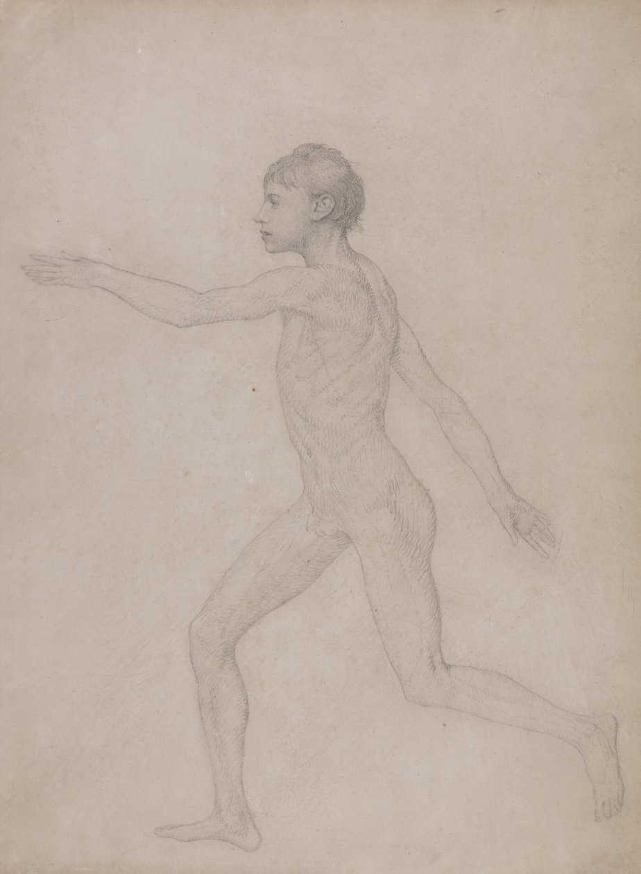Vertaileva anatominen selvitys ihmiskehon rakenteesta tiikerin ja tavallisen linnun rakenteeseen verrattuna: (Alustava luonnos taulukon VIII lopullista tutkimusta varten). tekijältä George Stubbs