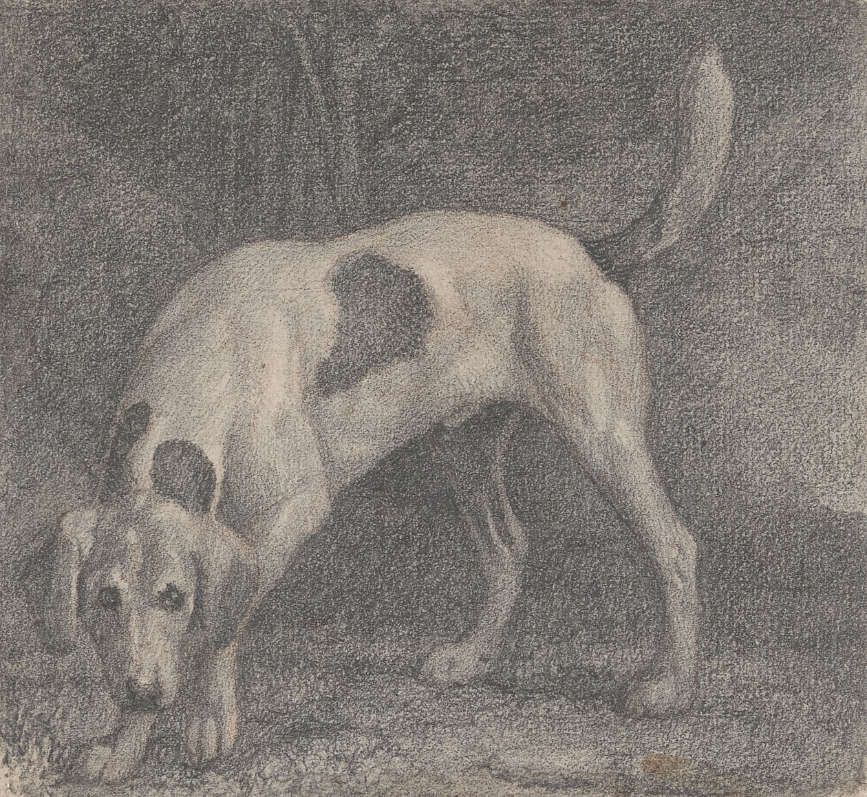 Kettukoira tuoksussa tekijältä George Stubbs