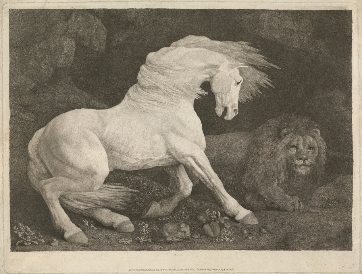 ਇੱਕ ਸ਼ੇਰਫਿਨਿਸ਼ ਦੁਆਰਾ ਡਰਾਇਆ ਘੋੜਾ tekijältä George Stubbs