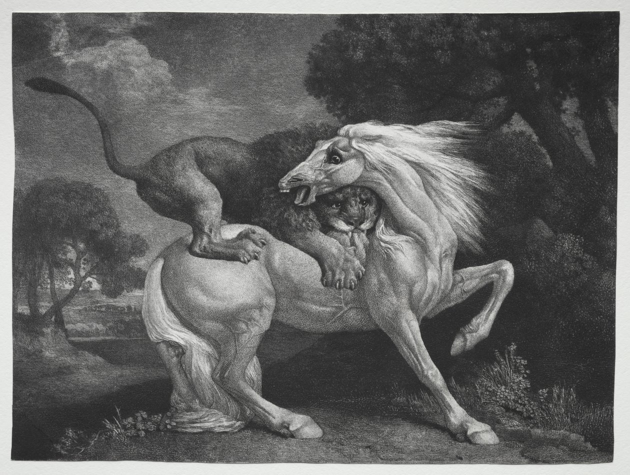 Leijonan kimppuun hyökännyt hevonen tekijältä George Stubbs