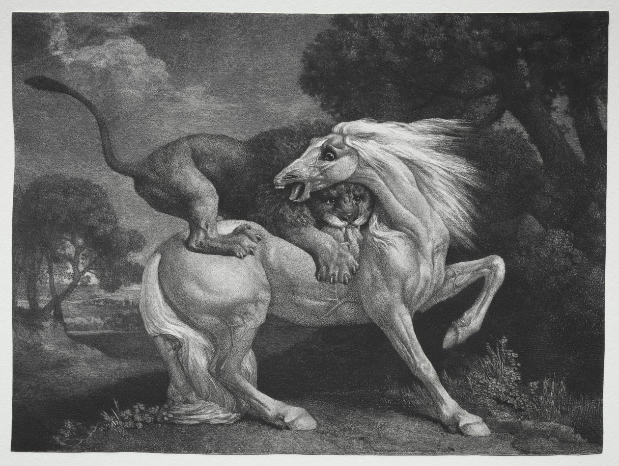 Leijonan kimppuun hyökännyt hevonen, 1788. tekijältä George Stubbs