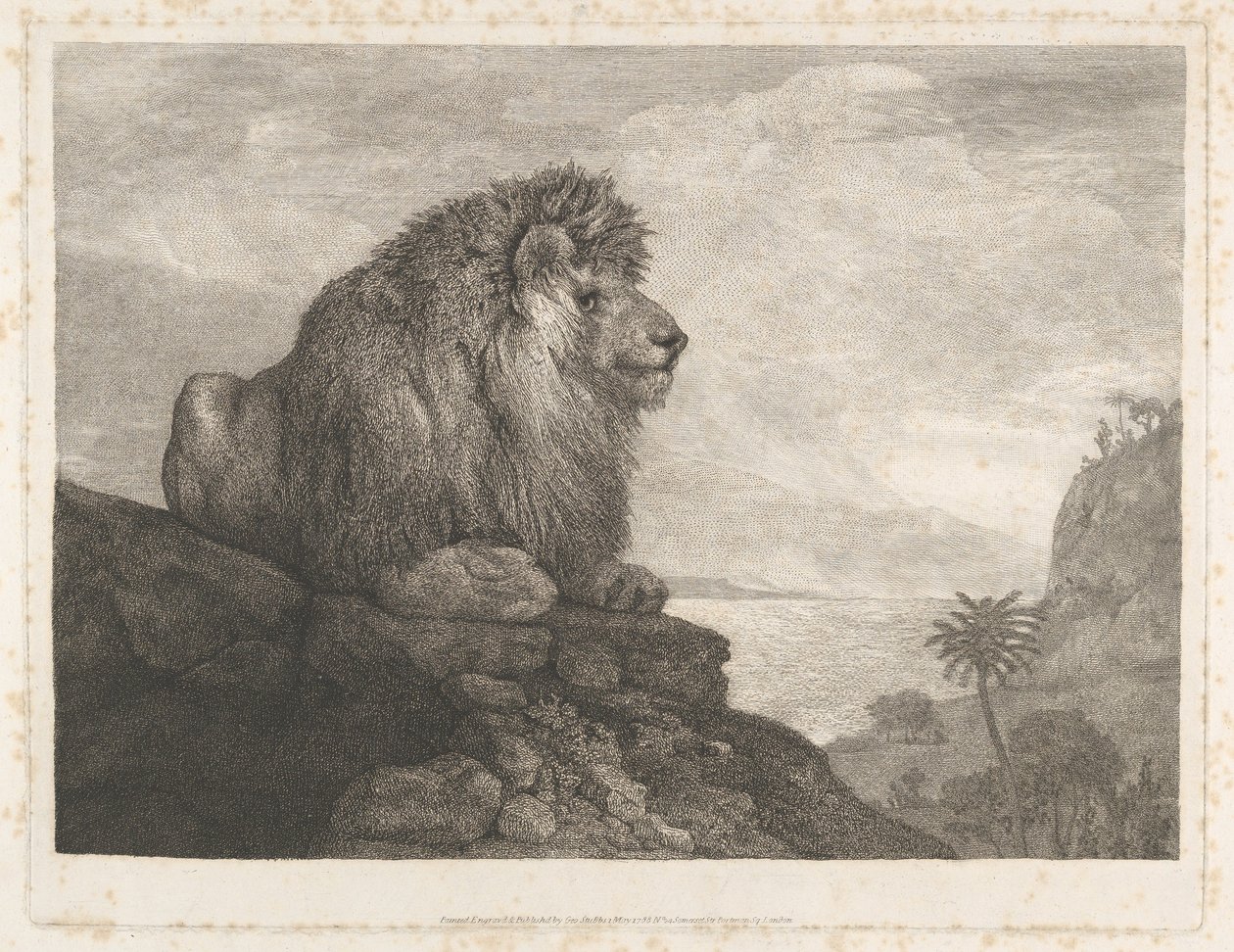 Leijona (Kalliolla lepäävä leijona) tekijältä George Stubbs