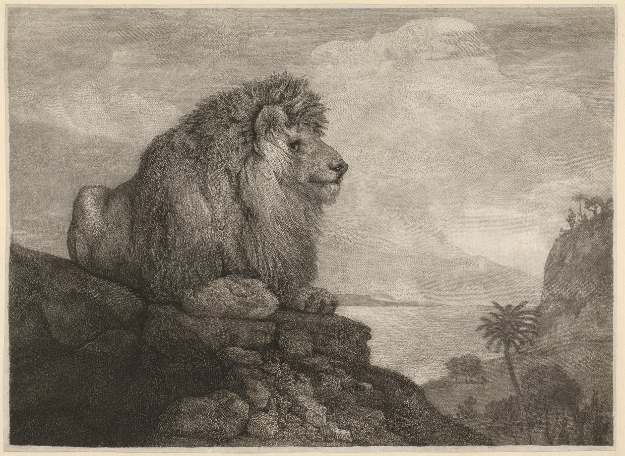 Taiteilijan kaivertama leijona (A Lion Resting on a Rock). tekijältä George Stubbs