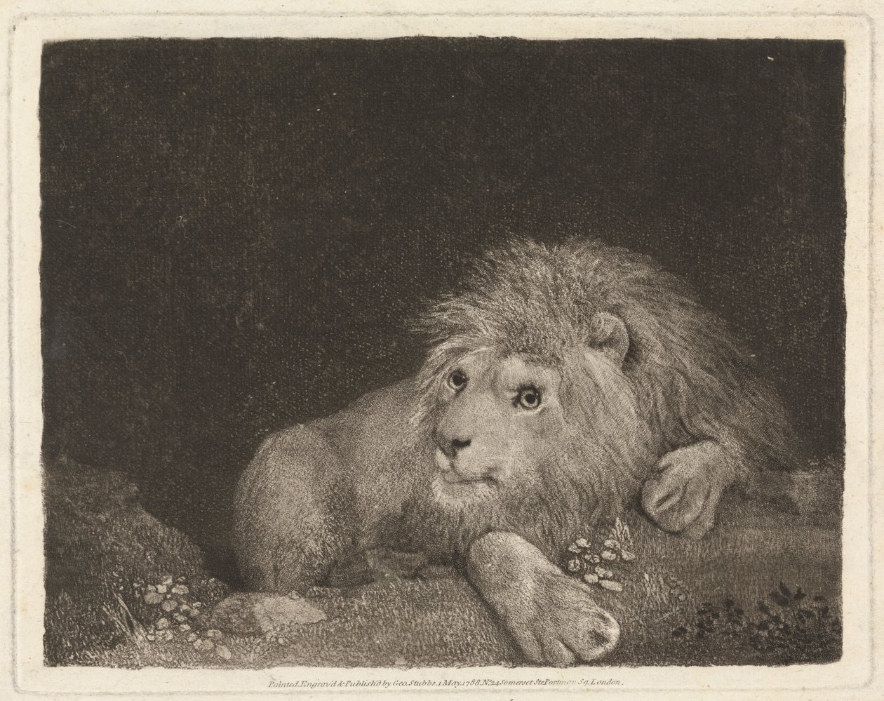 Leijona [makaava leijona] tekijältä George Stubbs