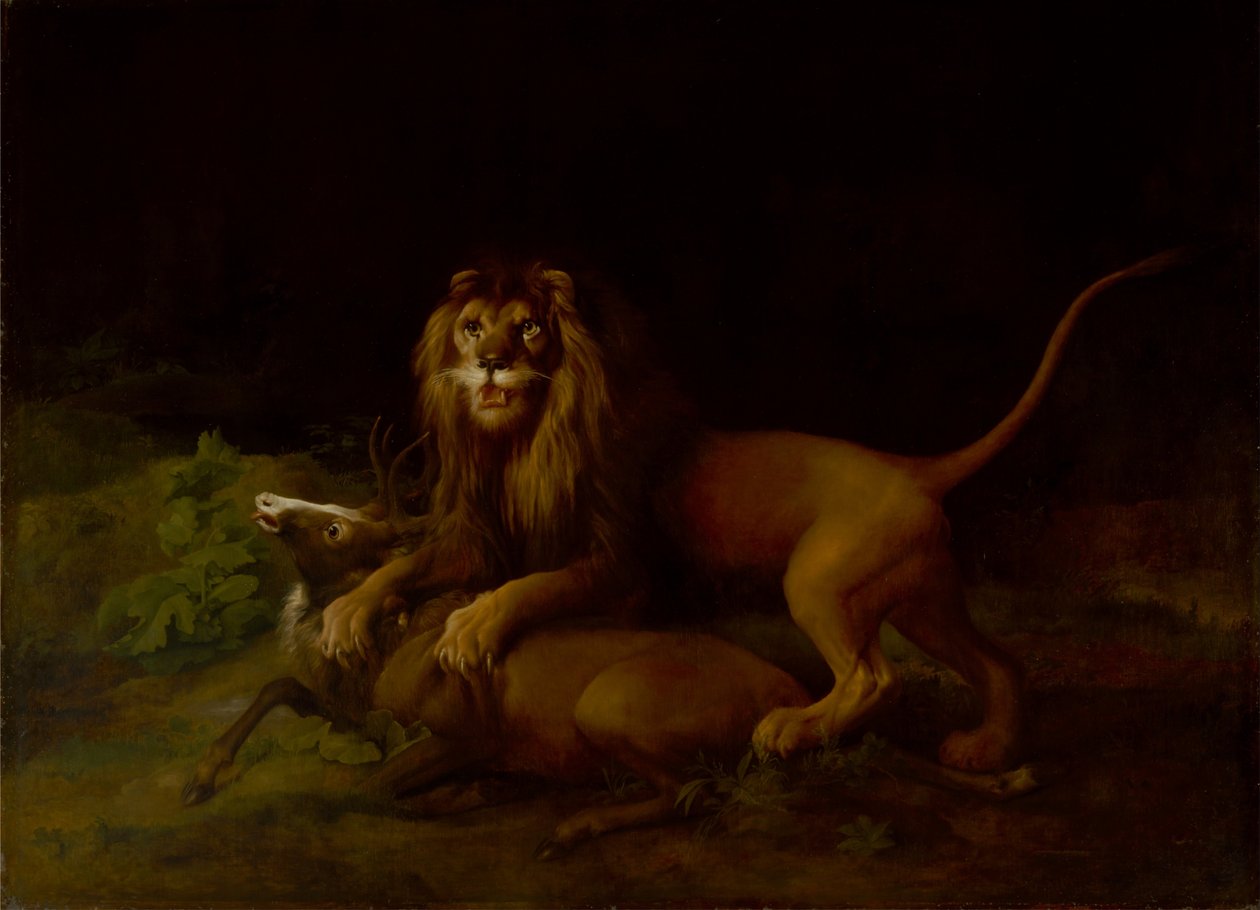 Leijona hyökkää hirven kimppuun tekijältä George Stubbs