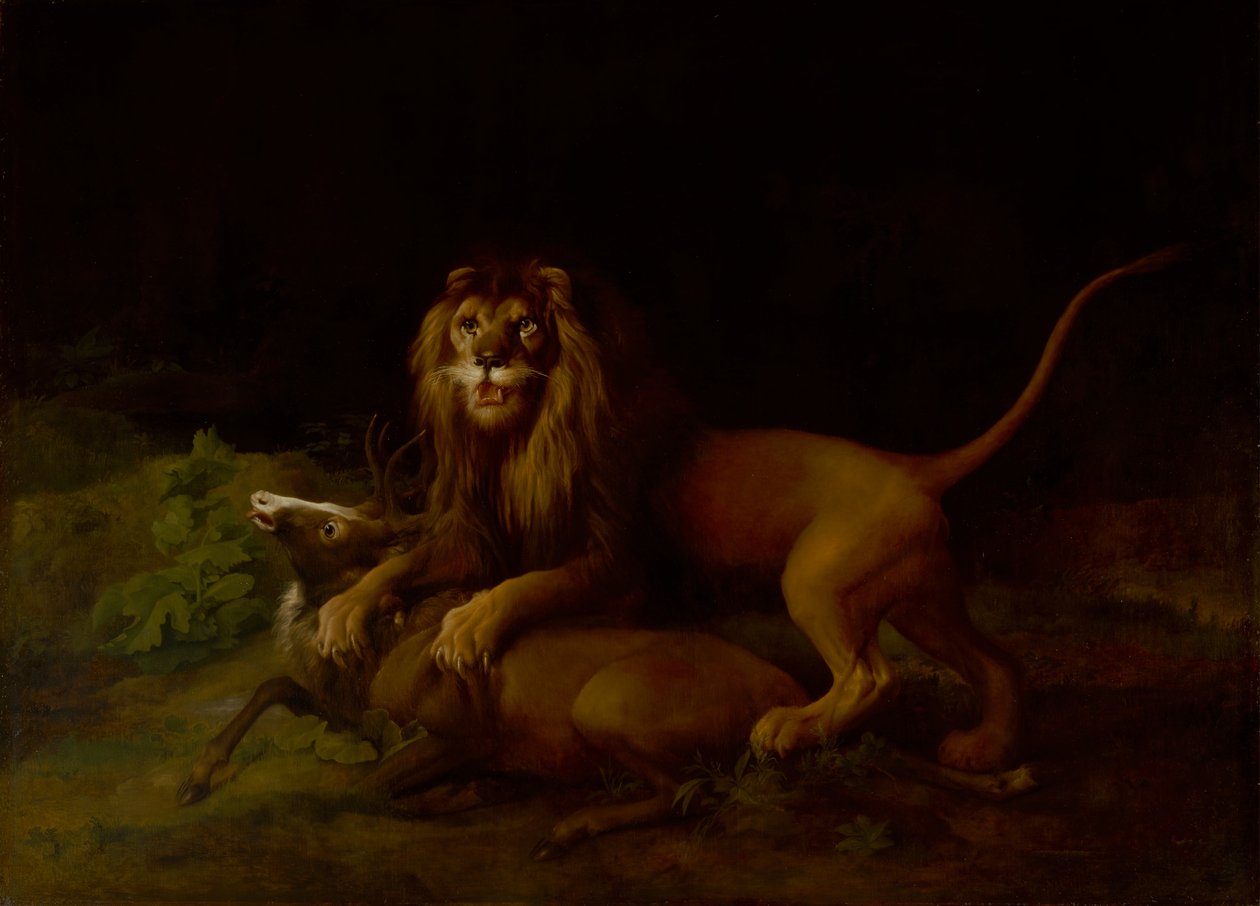Leijona hyökkää polttariin vuosina 1765–1766. tekijältä George Stubbs