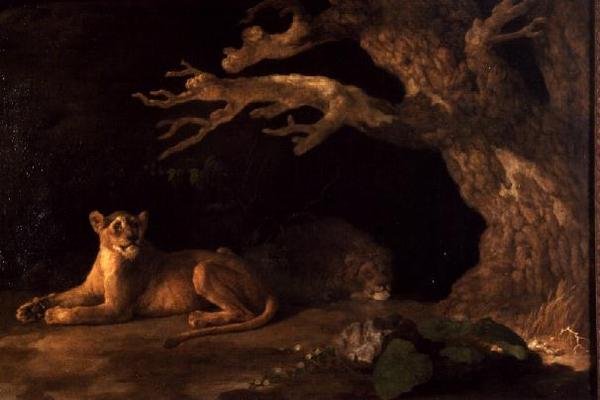 Leijona ja leijona tekijältä George Stubbs