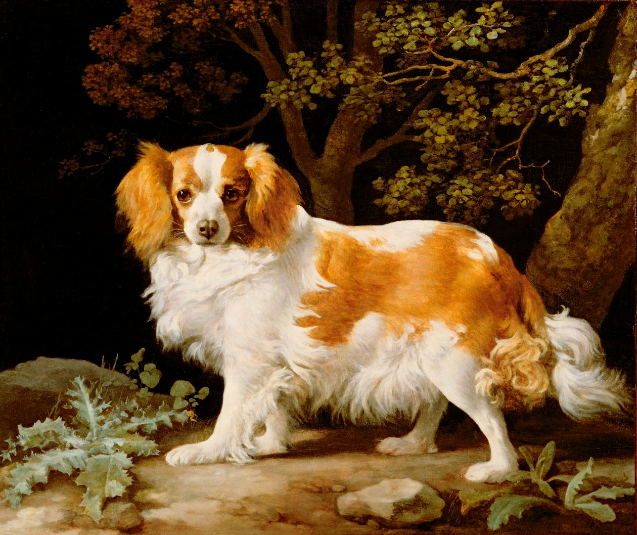 Maksa-valkoinen King Charles Spanieli metsäisessä maisemassa tekijältä George Stubbs
