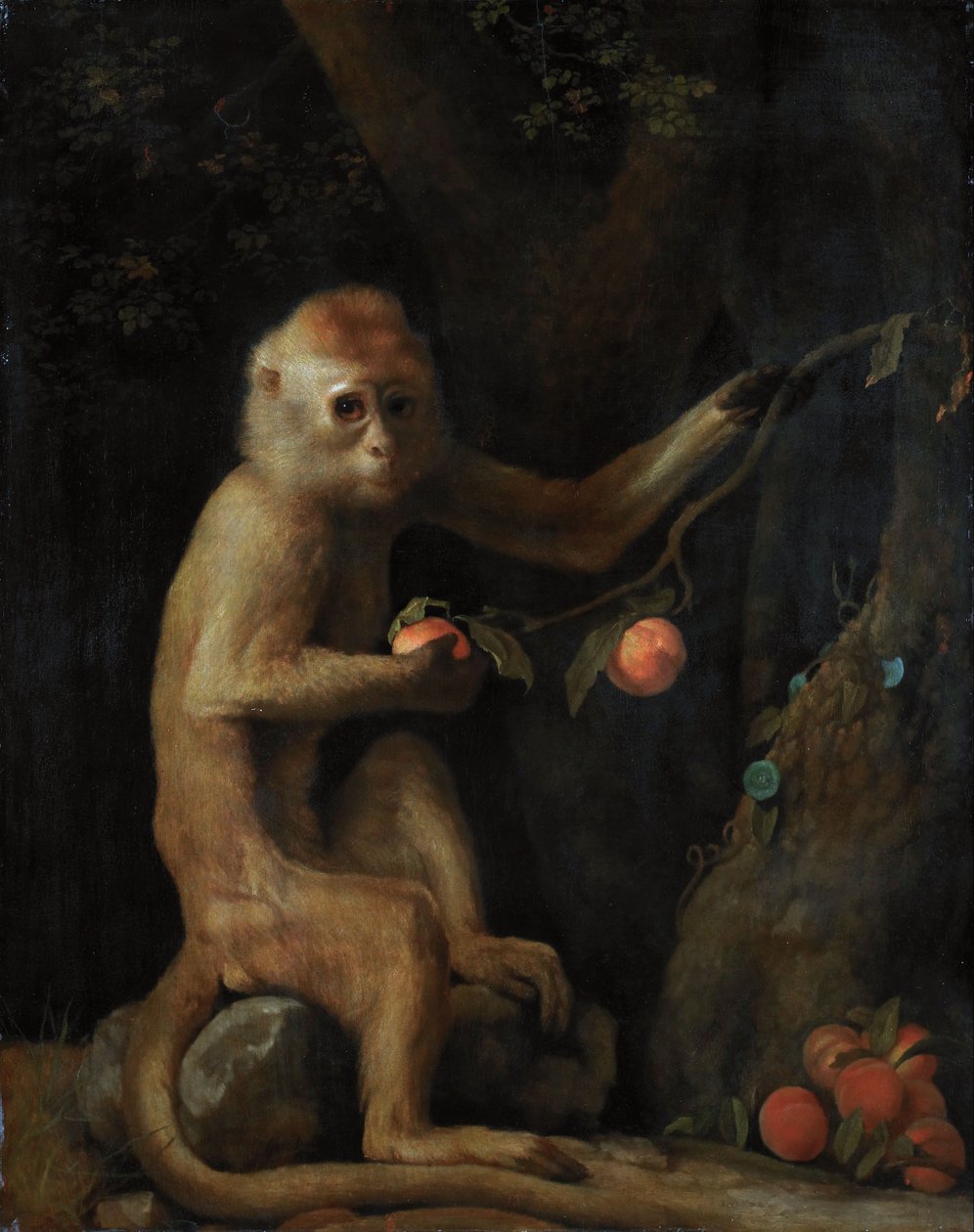 Apina tekijältä George Stubbs