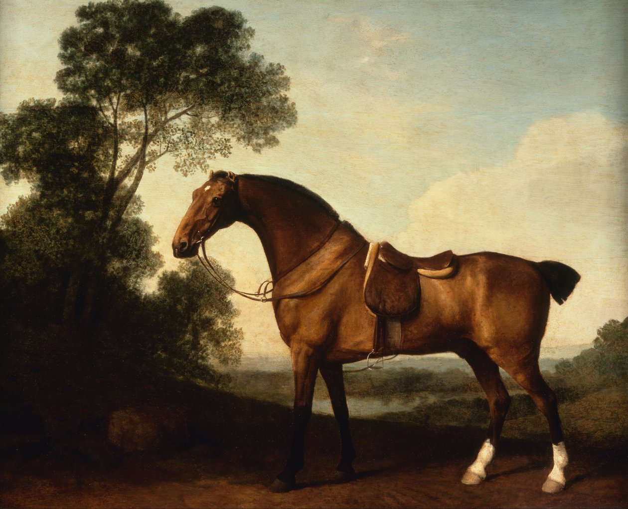 A Saddled Bay Hunter tekijältä George Stubbs