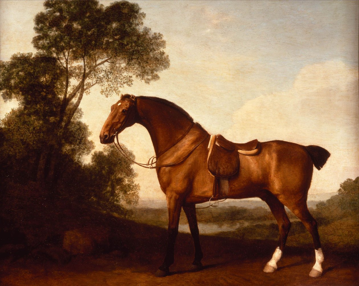 A Saddled Bay Hunter tekijältä George Stubbs