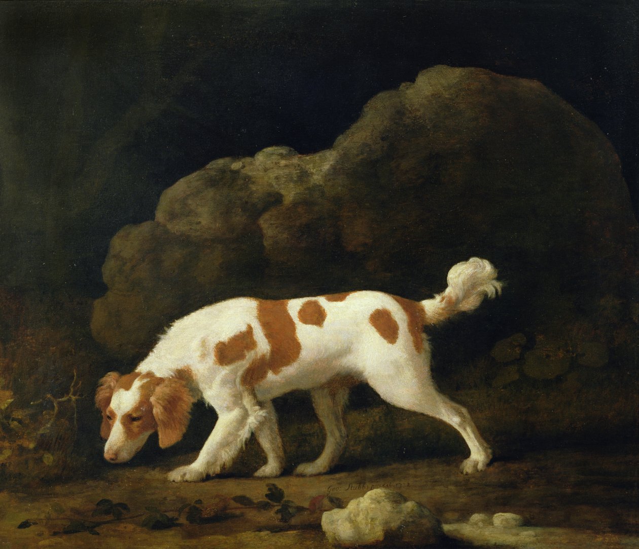 Spanieli (öljy kankaalle) (pari katso 266116) tekijältä George Stubbs