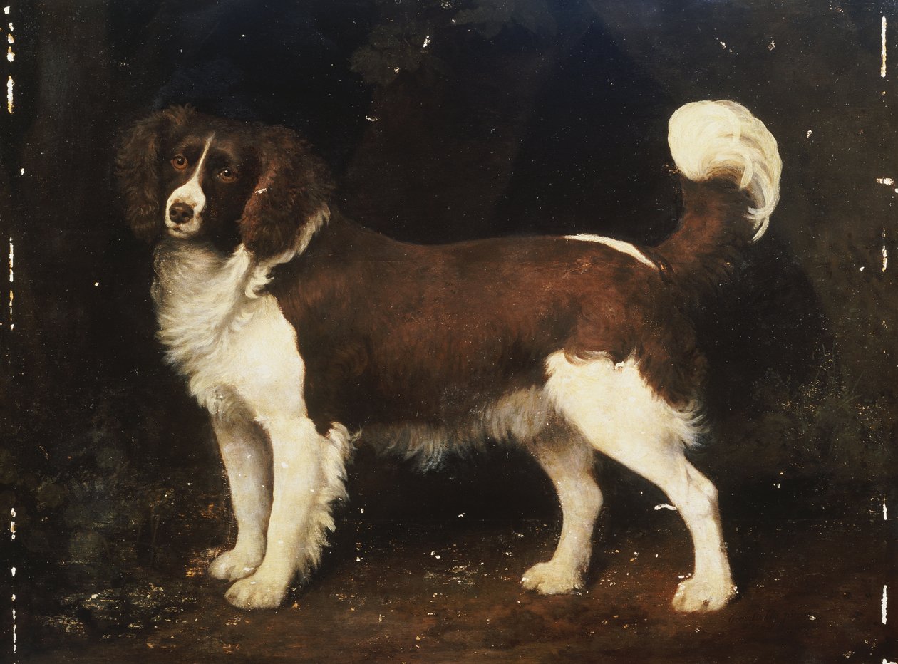 Spanieli maisemassa, 1784 tekijältä George Stubbs