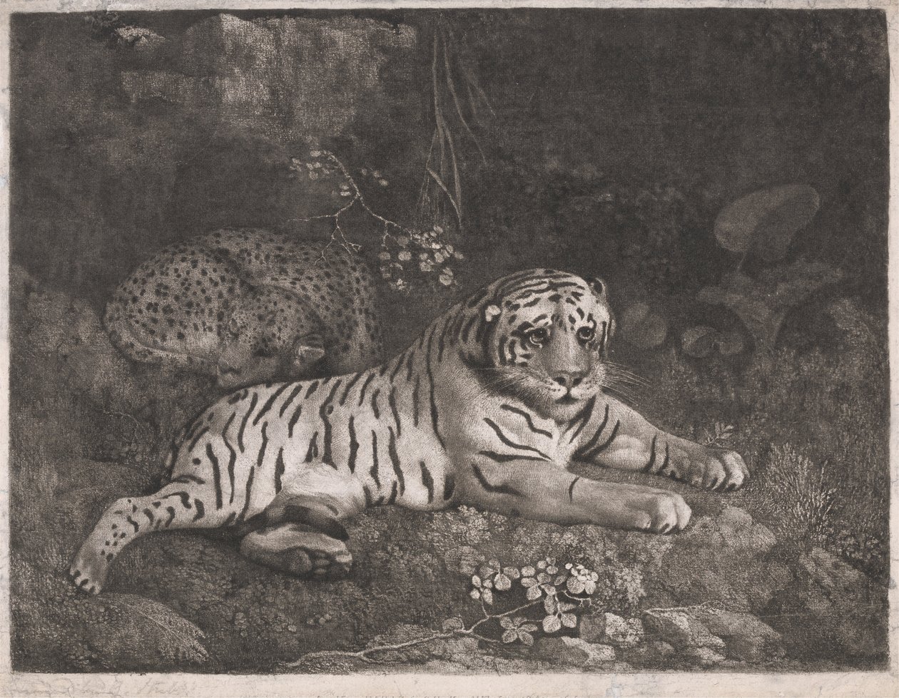 Tiikeri ja Nukkuva Leopardi tekijältä George Stubbs
