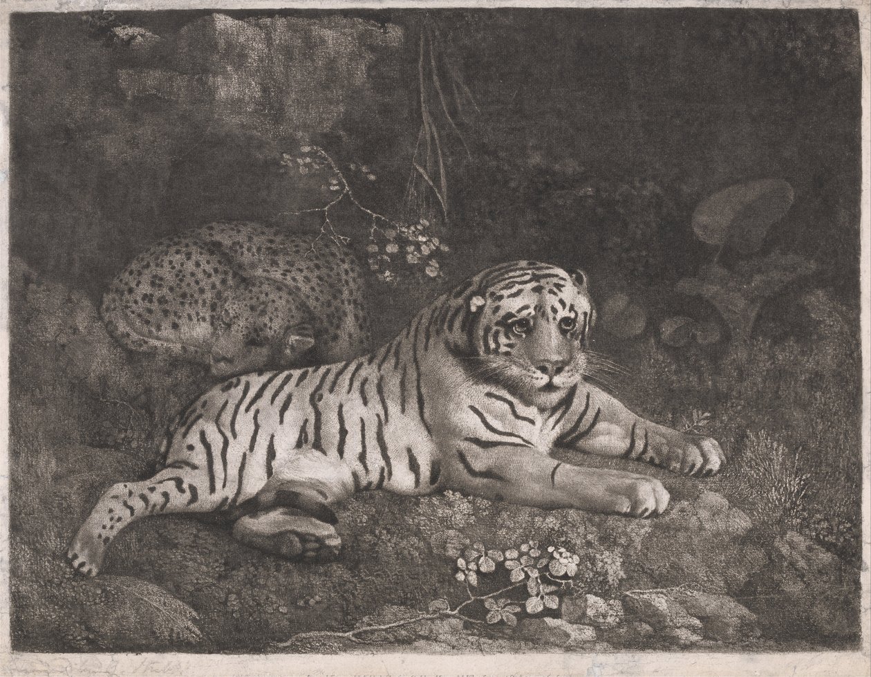 Tiikeri ja nukkuva leopardi tekijältä George Stubbs