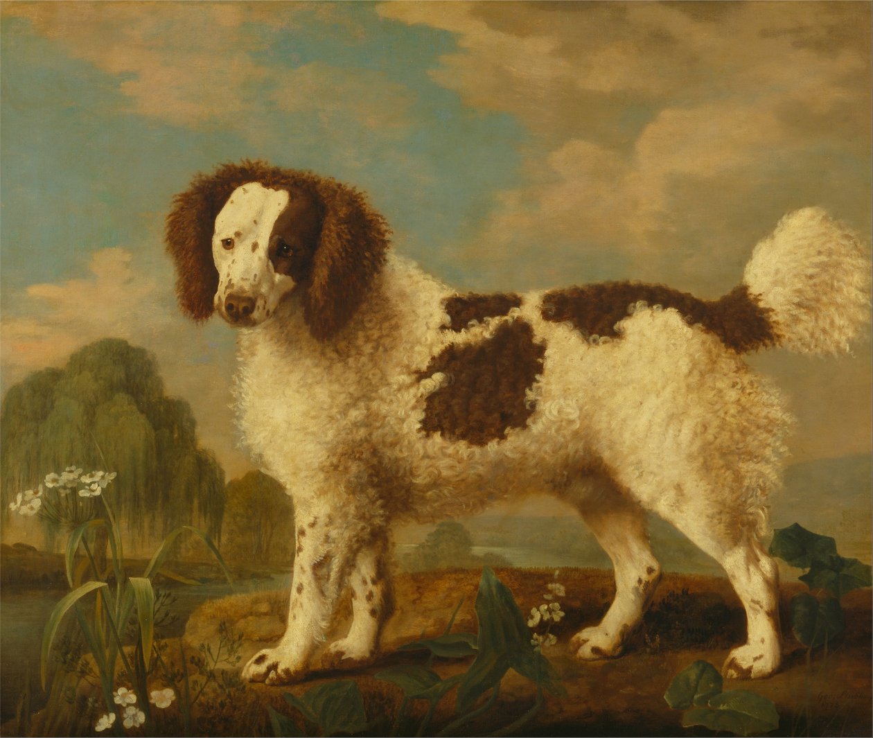 Ruskeavalkoinen Norfolk tai vesispanieli tekijältä George Stubbs