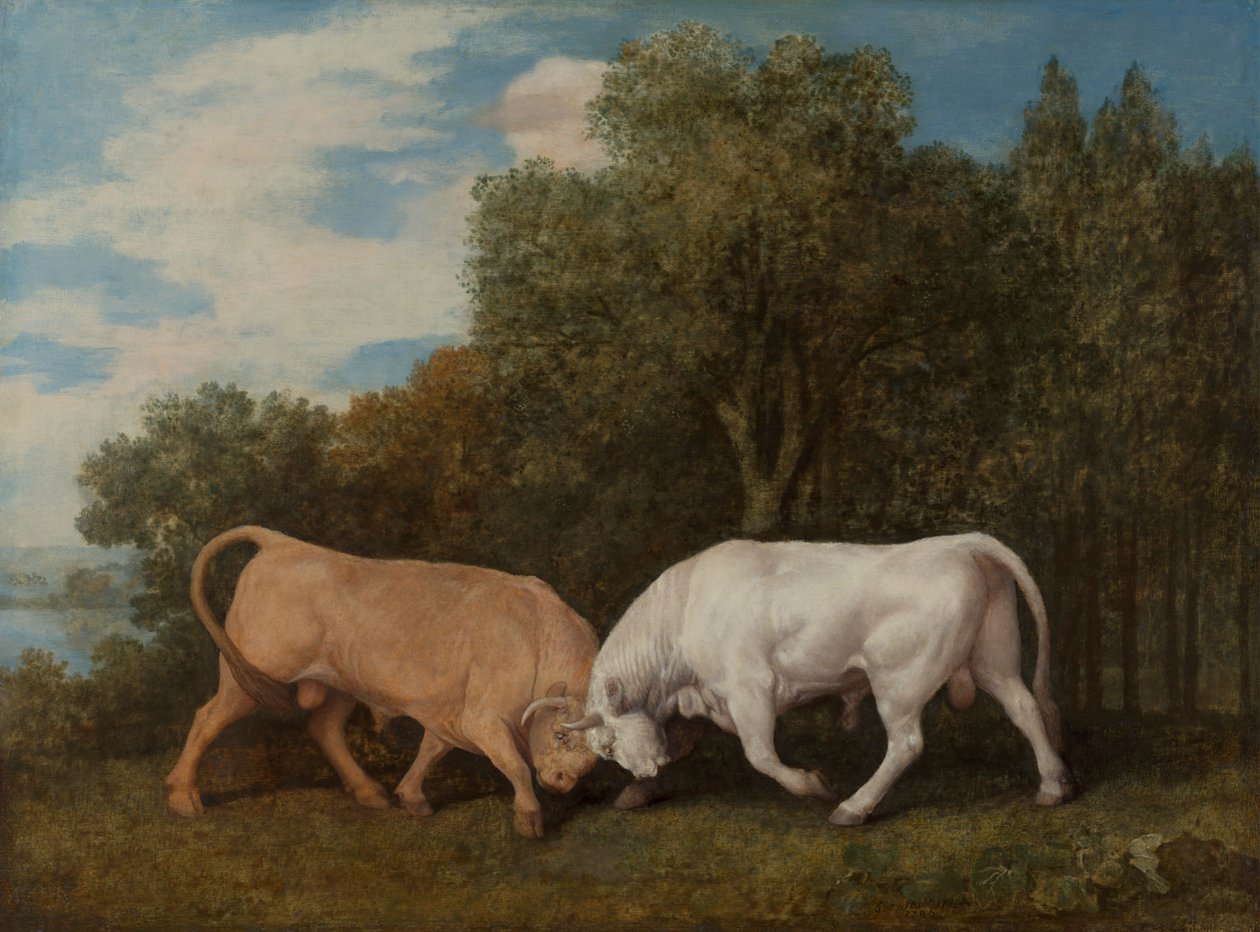 Härkätaistelu tekijältä George Stubbs