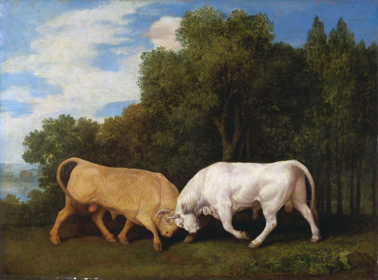 Bulls Fighting tekijältä George Stubbs