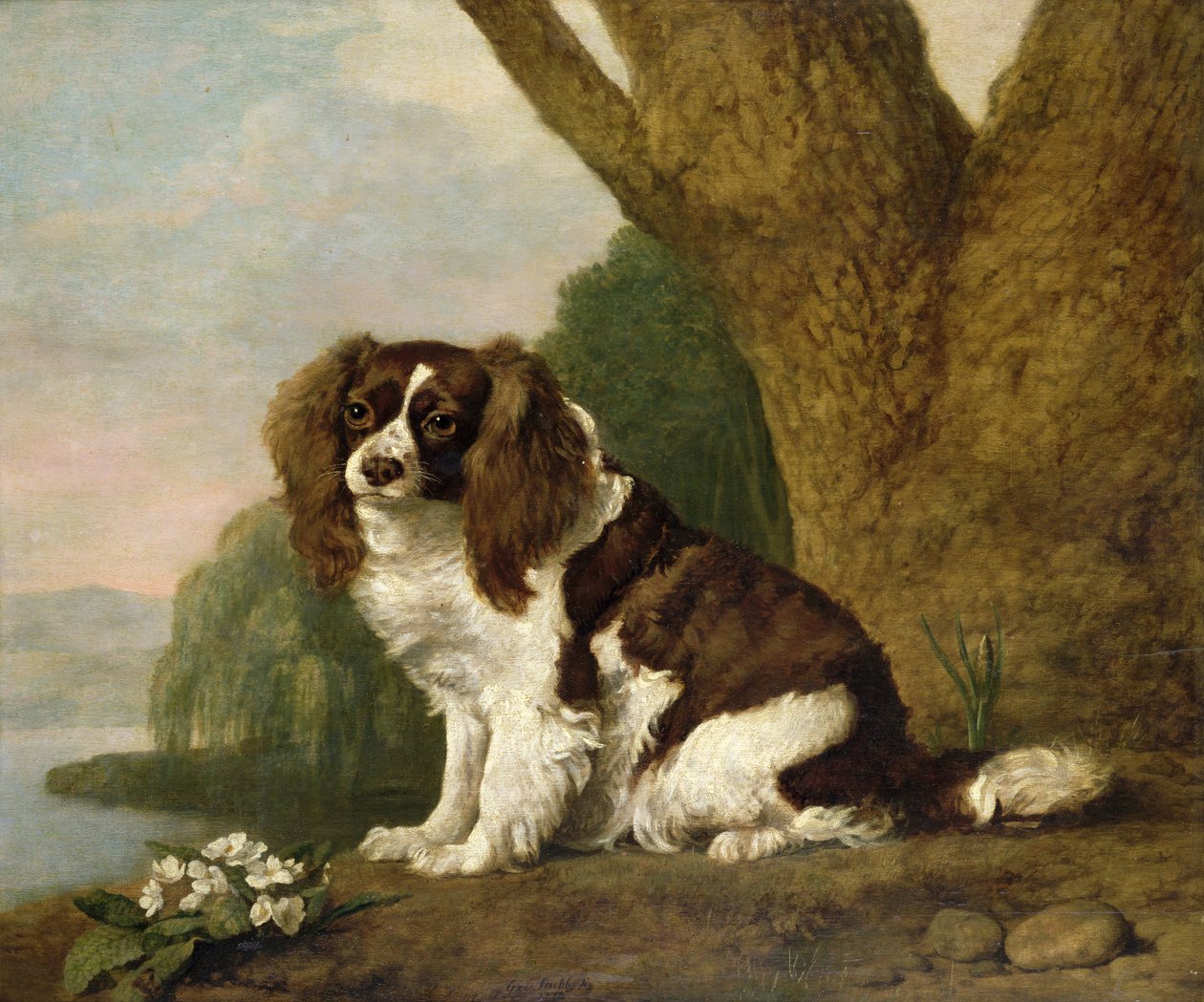 Fanny, ruskeavalkoinen spanieli tekijältä George Stubbs