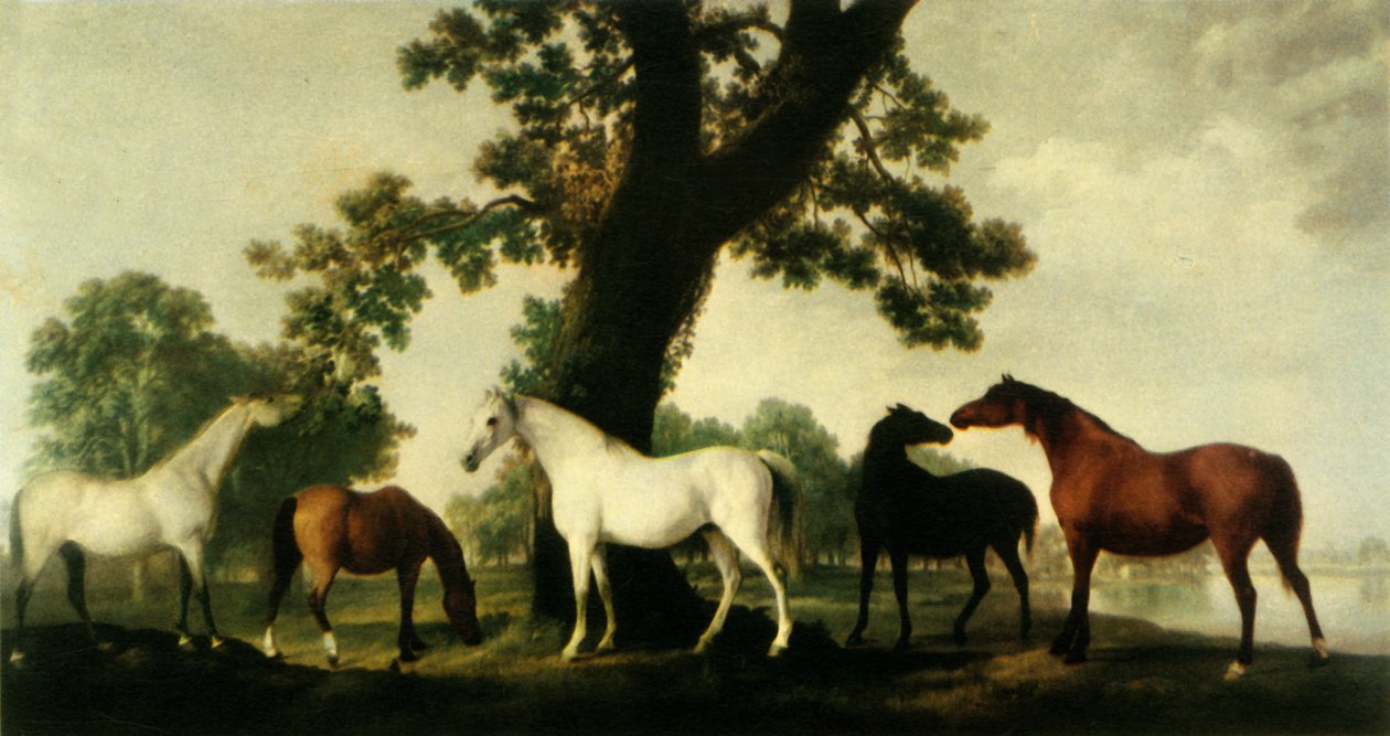"Five Brood Tames at Duke of Cumberlandin hevostilalla Windsor Great Parkissa", 1765, 1944. tekijältä George Stubbs