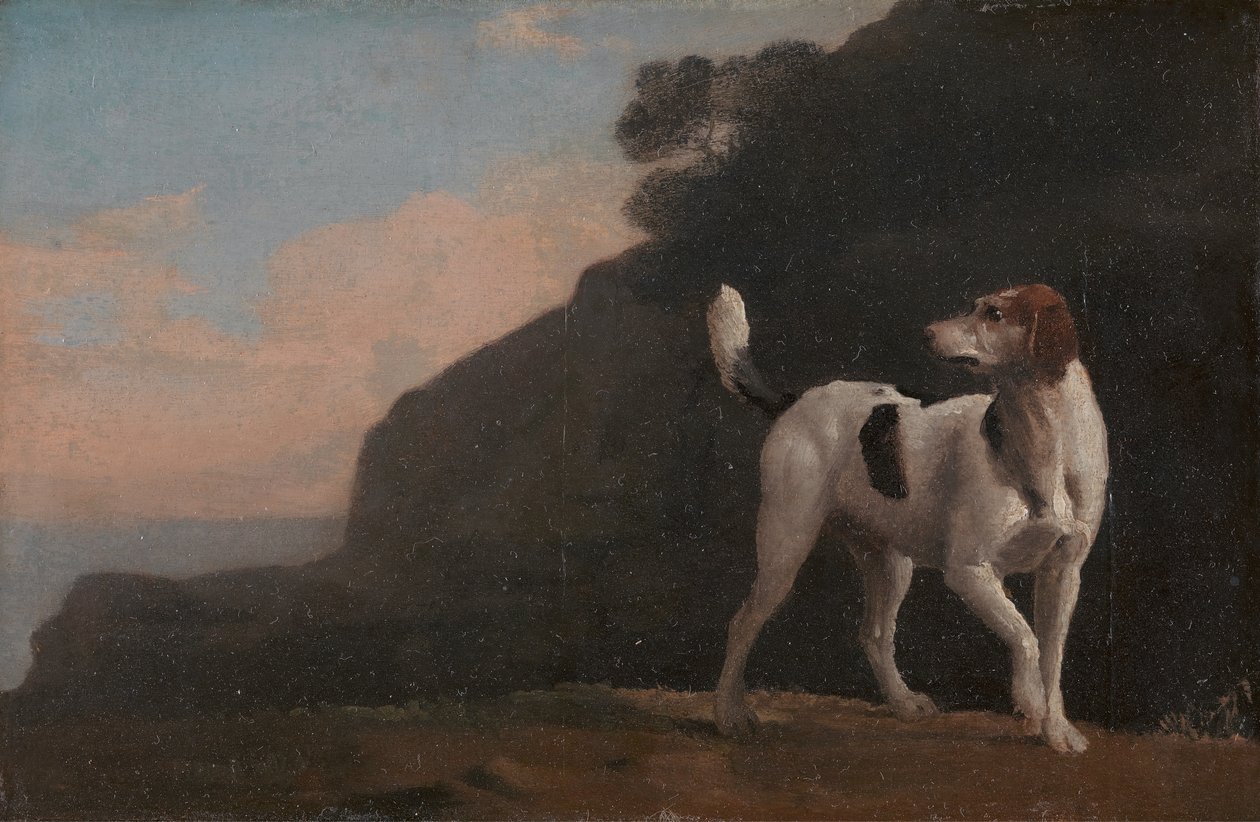Kettukoira, kettukoira, n. 1760. tekijältä George Stubbs
