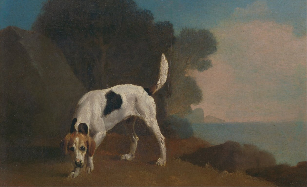 Foxhound tekijältä George Stubbs