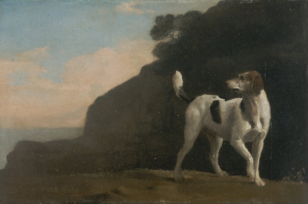 Foxhound tekijältä George Stubbs