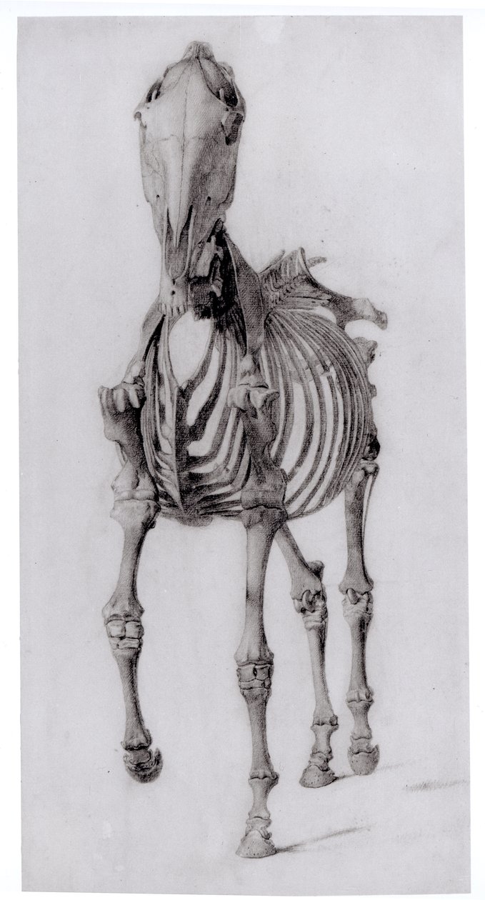 Huonekalut ja erilaiset esineet 1100- ja 1300-luvuilta tekijältä George Stubbs