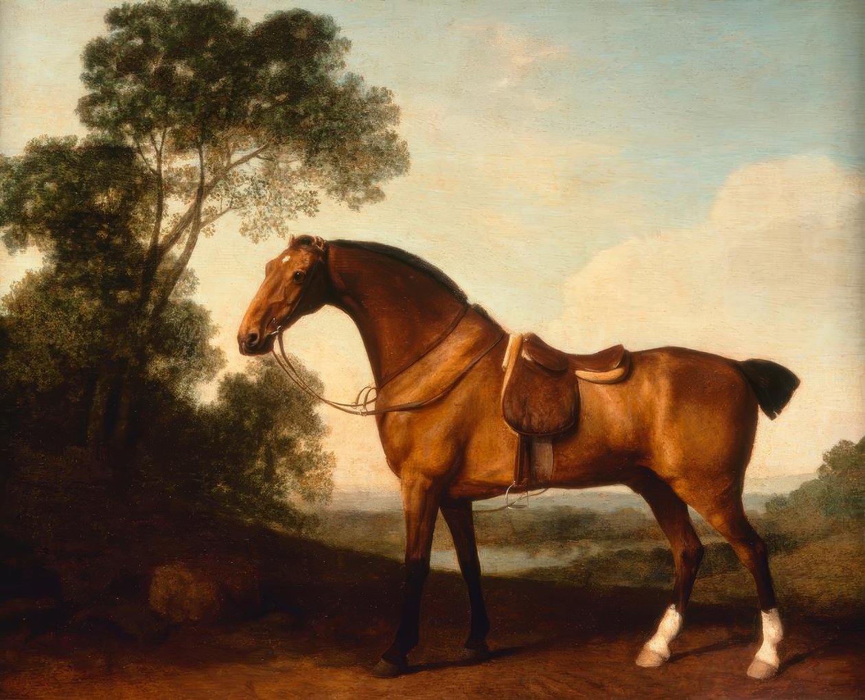 G.Stubbs, satuloitu lahdenmetsästäjä tekijältä George Stubbs