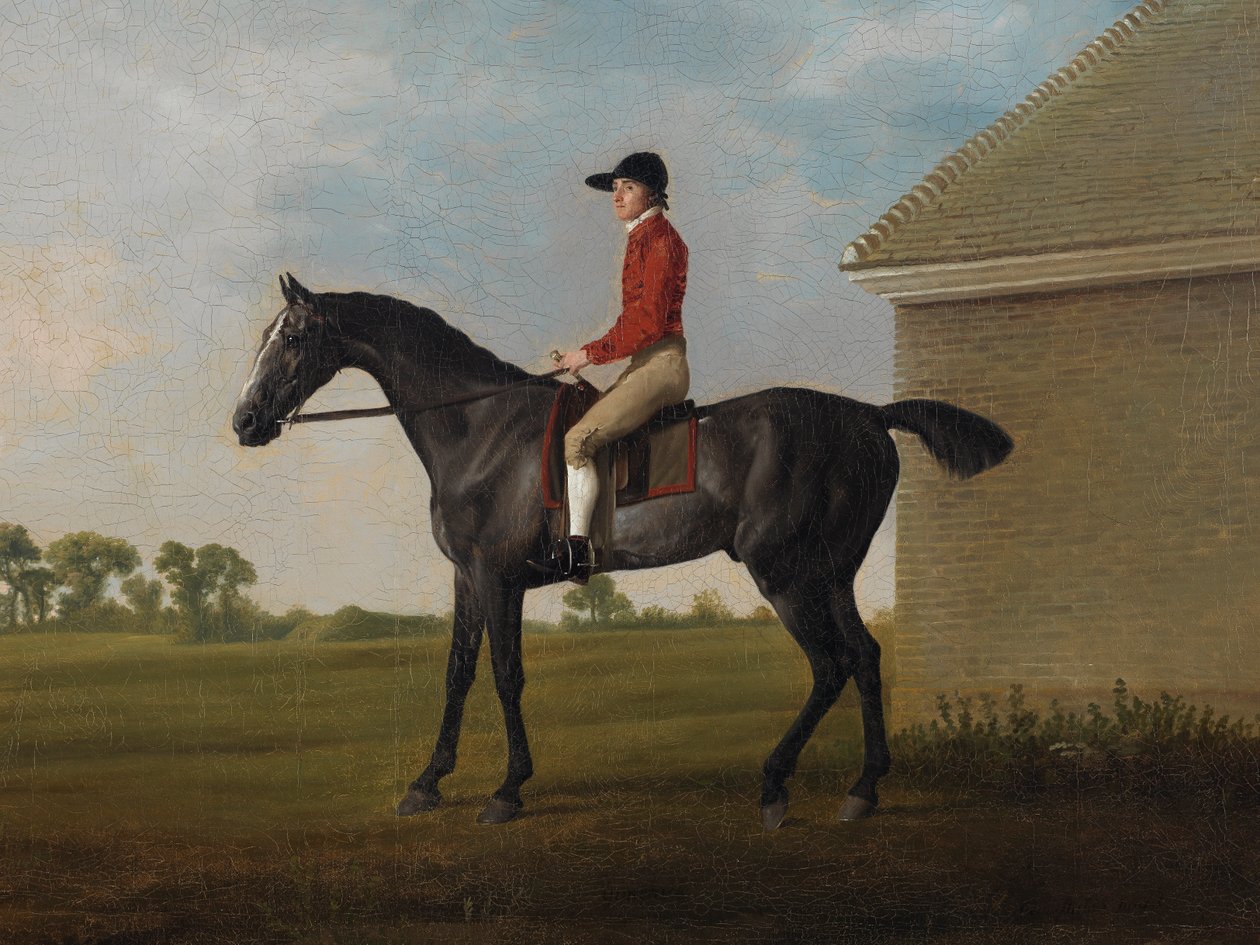 Gimcrack, John Pratt ylös, Newmarket Heath, 1795 tekijältä George Stubbs