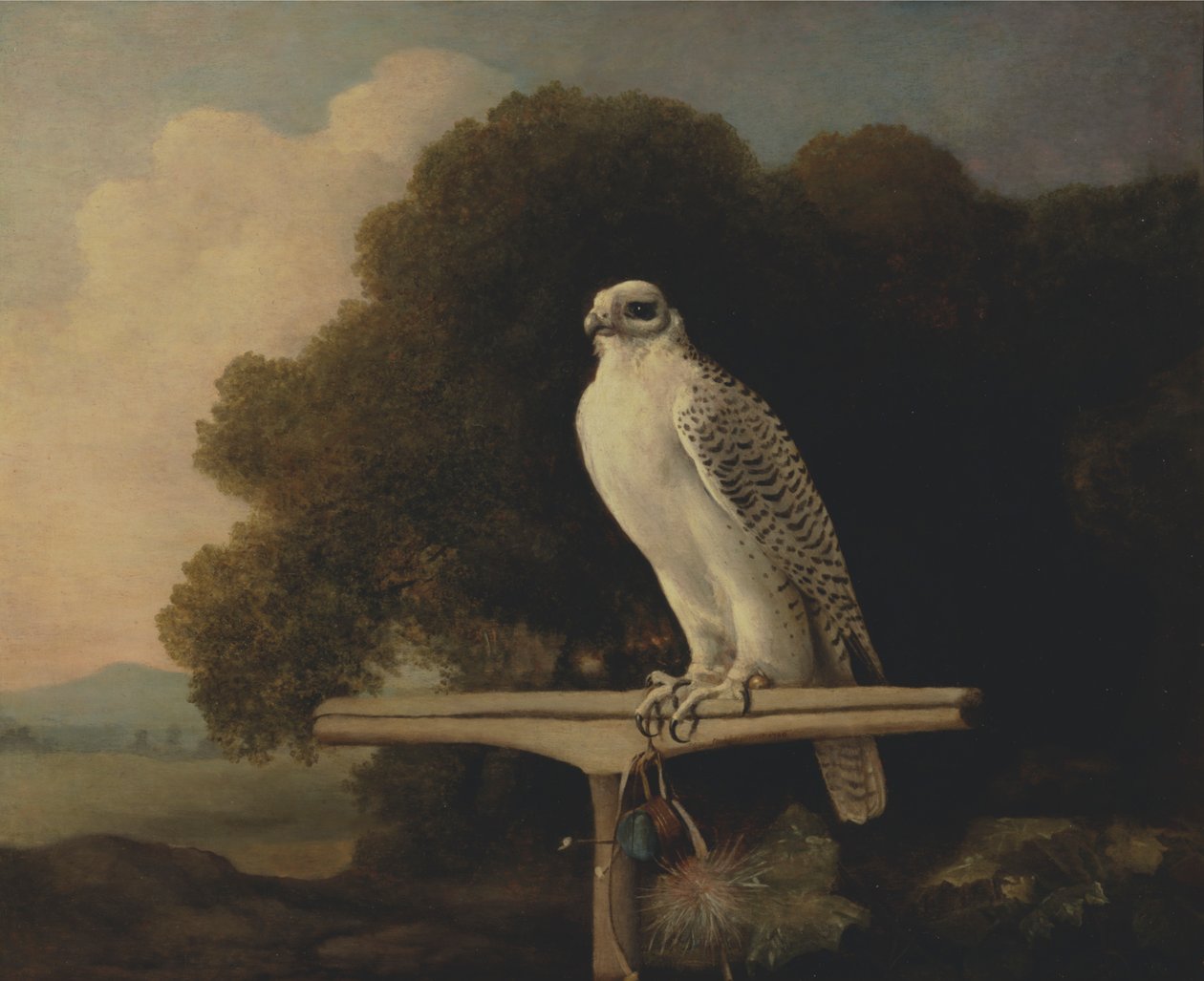 Grönlannin haukka tekijältä George Stubbs
