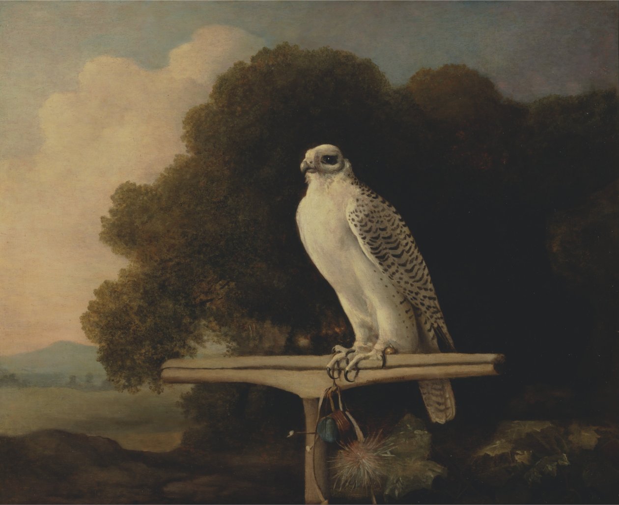 Grönlanninhaukka tekijältä George Stubbs